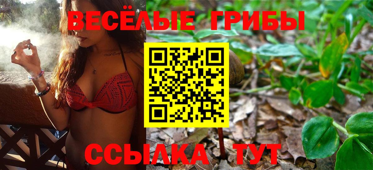 Галлюциногенные грибы Psilocybine cubensis  Псилоцибиновые грибы мицелий  Вход с VPN  дарнет шоп  Гусиноозёрск 